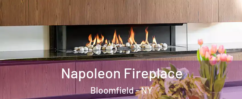 Napoleon Fireplace Bloomfield - NY