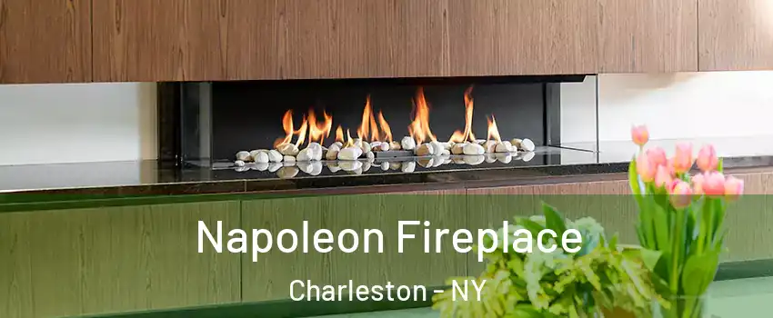 Napoleon Fireplace Charleston - NY