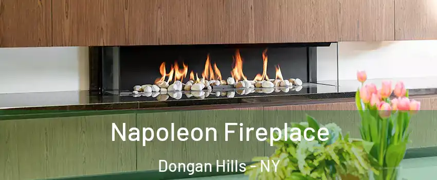 Napoleon Fireplace Dongan Hills - NY