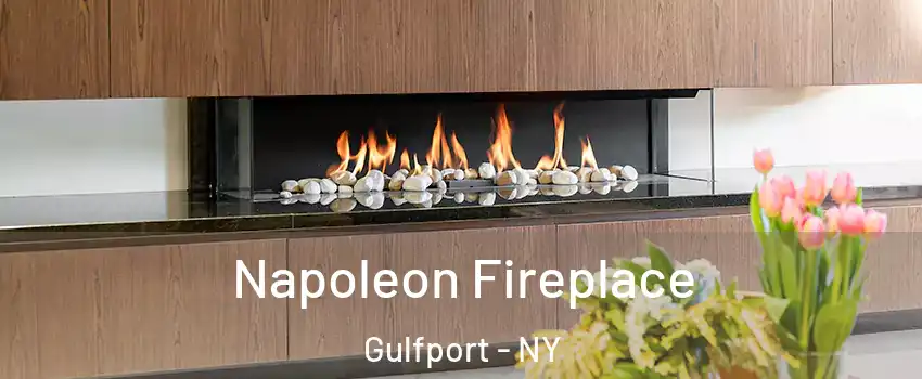 Napoleon Fireplace Gulfport - NY