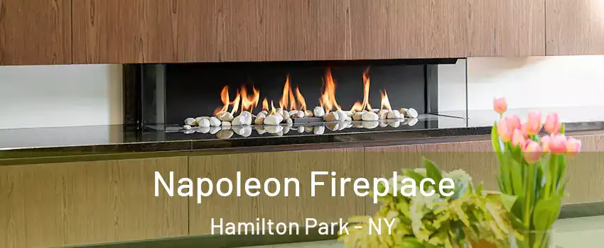 Napoleon Fireplace Hamilton Park - NY