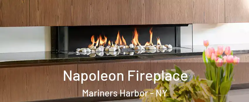 Napoleon Fireplace Mariners Harbor - NY