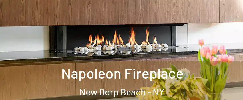 Napoleon Fireplace New Dorp Beach - NY