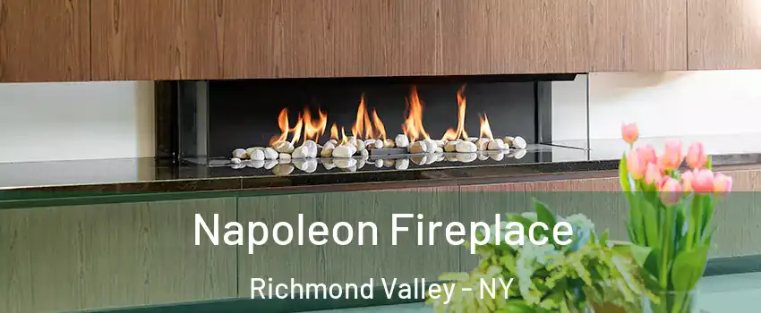 Napoleon Fireplace Richmond Valley - NY