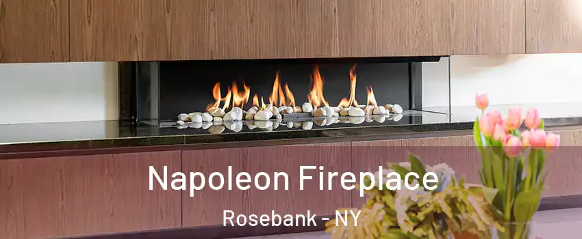 Napoleon Fireplace Rosebank - NY