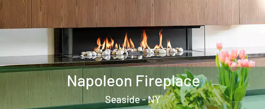 Napoleon Fireplace Seaside - NY