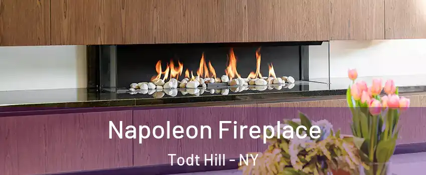 Napoleon Fireplace Todt Hill - NY