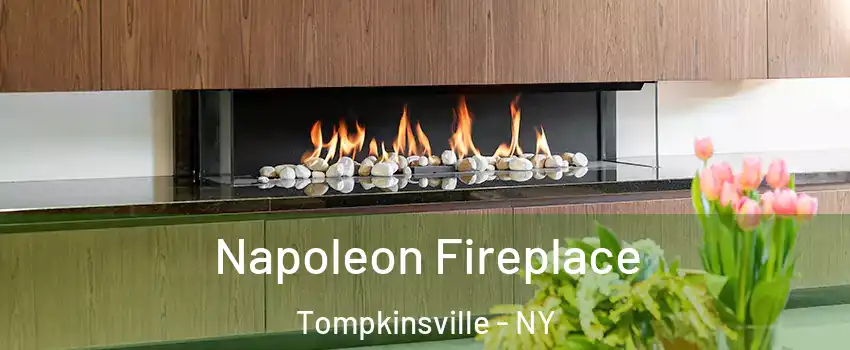 Napoleon Fireplace Tompkinsville - NY