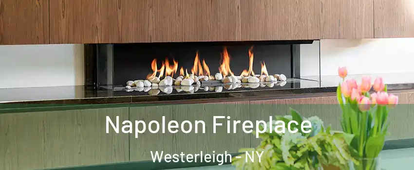 Napoleon Fireplace Westerleigh - NY