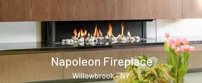 Napoleon Fireplace Willowbrook - NY