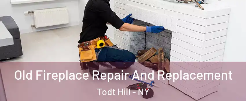 Old Fireplace Repair And Replacement Todt Hill - NY