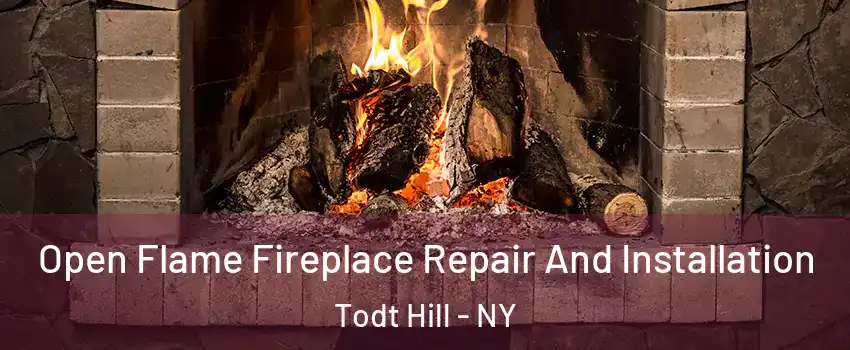 Open Flame Fireplace Repair And Installation Todt Hill - NY