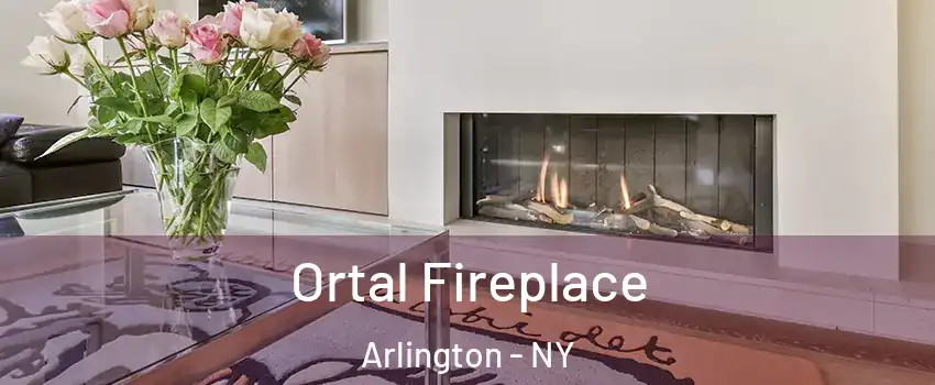 Ortal Fireplace Arlington - NY