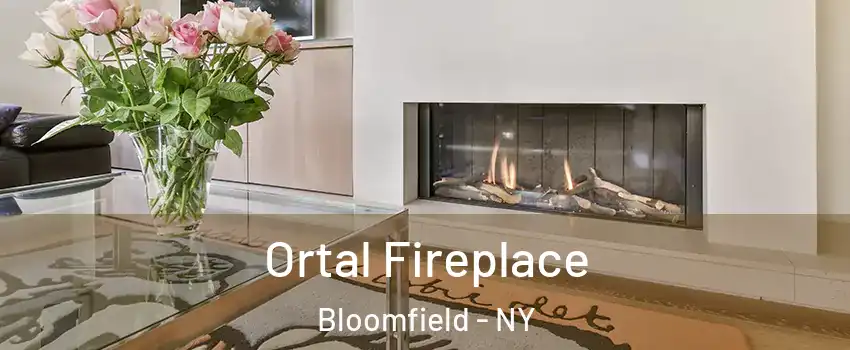 Ortal Fireplace Bloomfield - NY