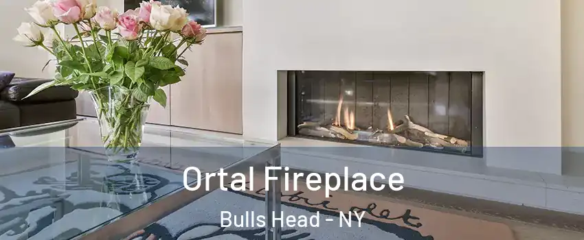 Ortal Fireplace Bulls Head - NY