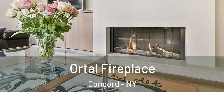 Ortal Fireplace Concord - NY