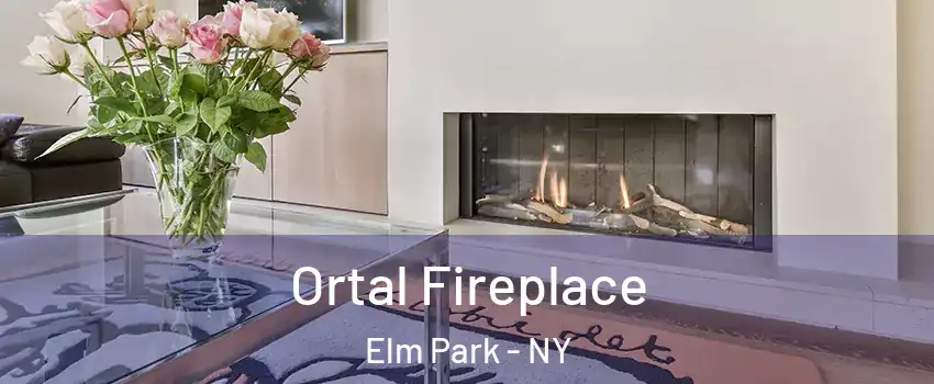 Ortal Fireplace Elm Park - NY