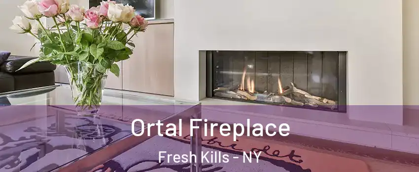 Ortal Fireplace Fresh Kills - NY