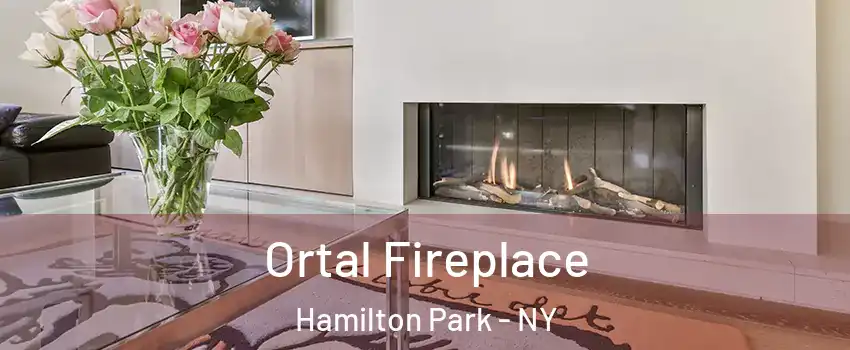 Ortal Fireplace Hamilton Park - NY