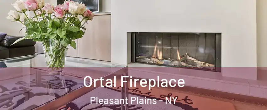 Ortal Fireplace Pleasant Plains - NY