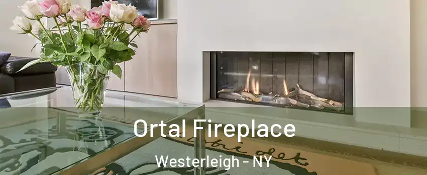 Ortal Fireplace Westerleigh - NY