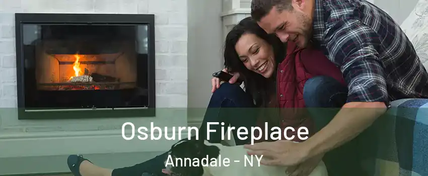 Osburn Fireplace Annadale - NY