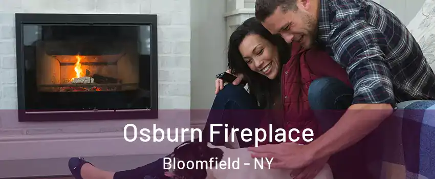 Osburn Fireplace Bloomfield - NY