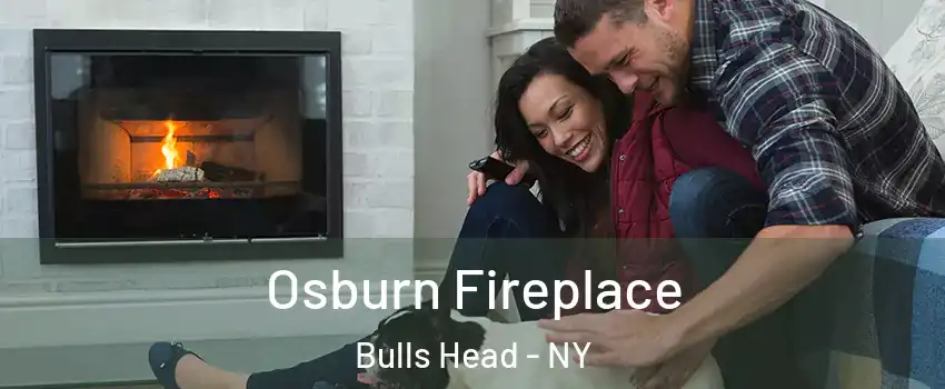 Osburn Fireplace Bulls Head - NY