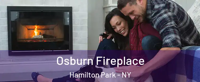 Osburn Fireplace Hamilton Park - NY