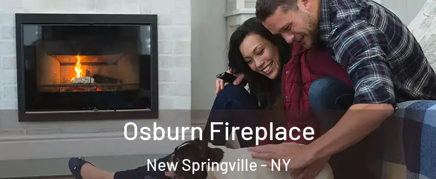 Osburn Fireplace New Springville - NY