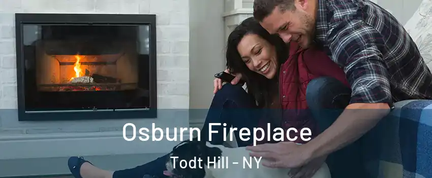 Osburn Fireplace Todt Hill - NY