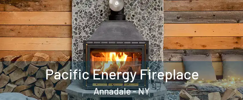 Pacific Energy Fireplace Annadale - NY