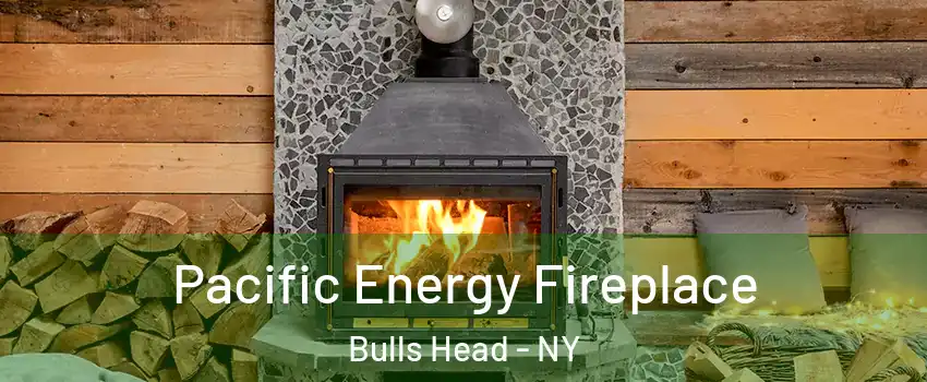 Pacific Energy Fireplace Bulls Head - NY