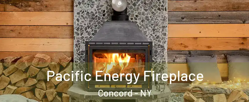 Pacific Energy Fireplace Concord - NY