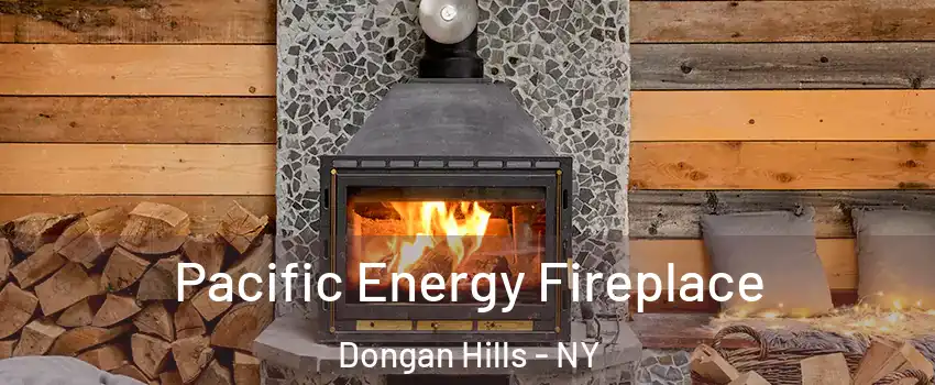 Pacific Energy Fireplace Dongan Hills - NY