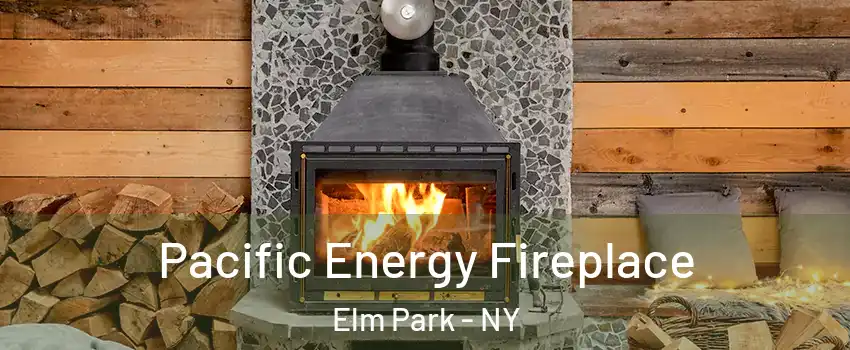 Pacific Energy Fireplace Elm Park - NY