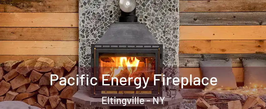 Pacific Energy Fireplace Eltingville - NY