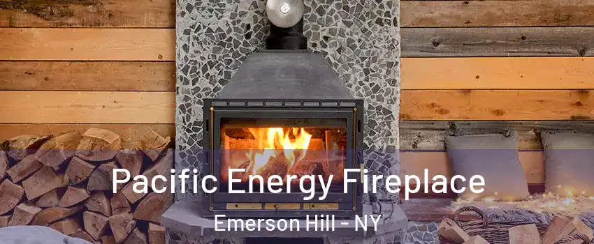 Pacific Energy Fireplace Emerson Hill - NY