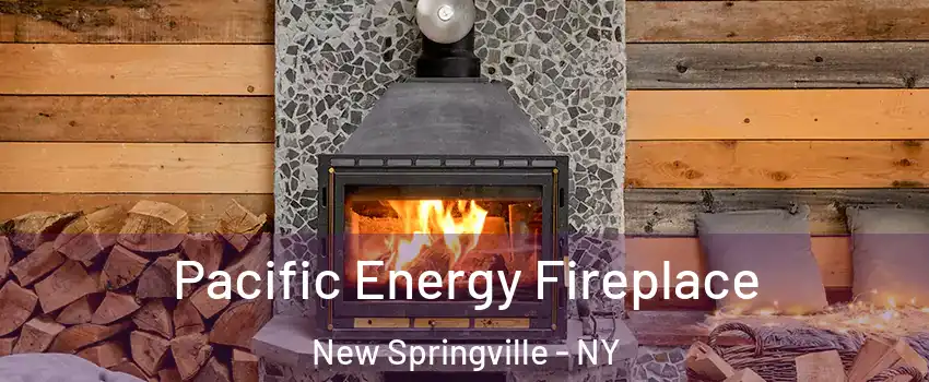 Pacific Energy Fireplace New Springville - NY