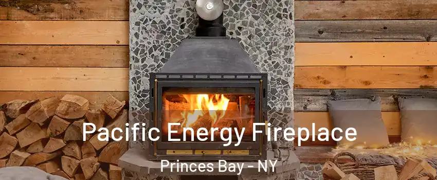 Pacific Energy Fireplace Princes Bay - NY