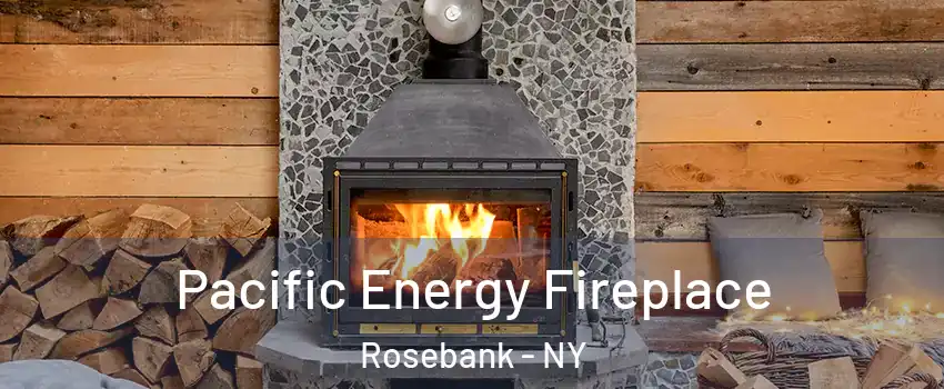 Pacific Energy Fireplace Rosebank - NY