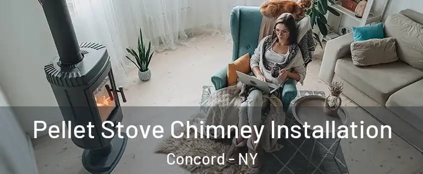 Pellet Stove Chimney Installation Concord - NY