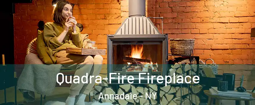 Quadra-Fire Fireplace Annadale - NY