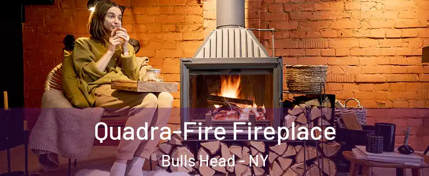 Quadra-Fire Fireplace Bulls Head - NY