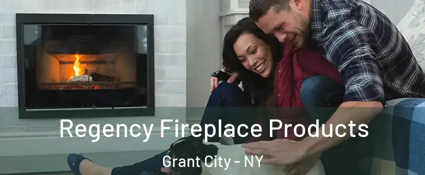 Regency Fireplace Products Grant City - NY