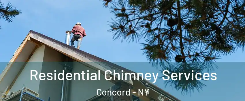 Residential Chimney Services Concord - NY