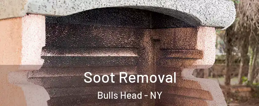 Soot Removal Bulls Head - NY