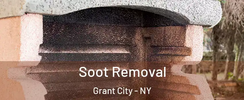 Soot Removal Grant City - NY