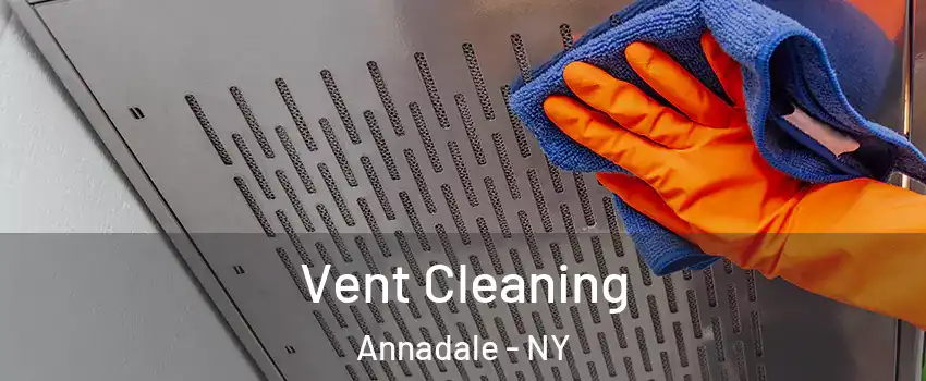 Vent Cleaning Annadale - NY