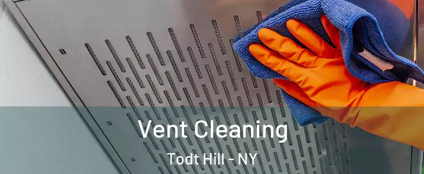 Vent Cleaning Todt Hill - NY